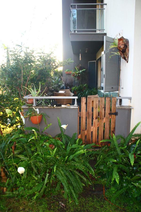 Rochas Shared Garden Refuge Homestay Funchal (Madeira)
